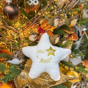 etoile de noel